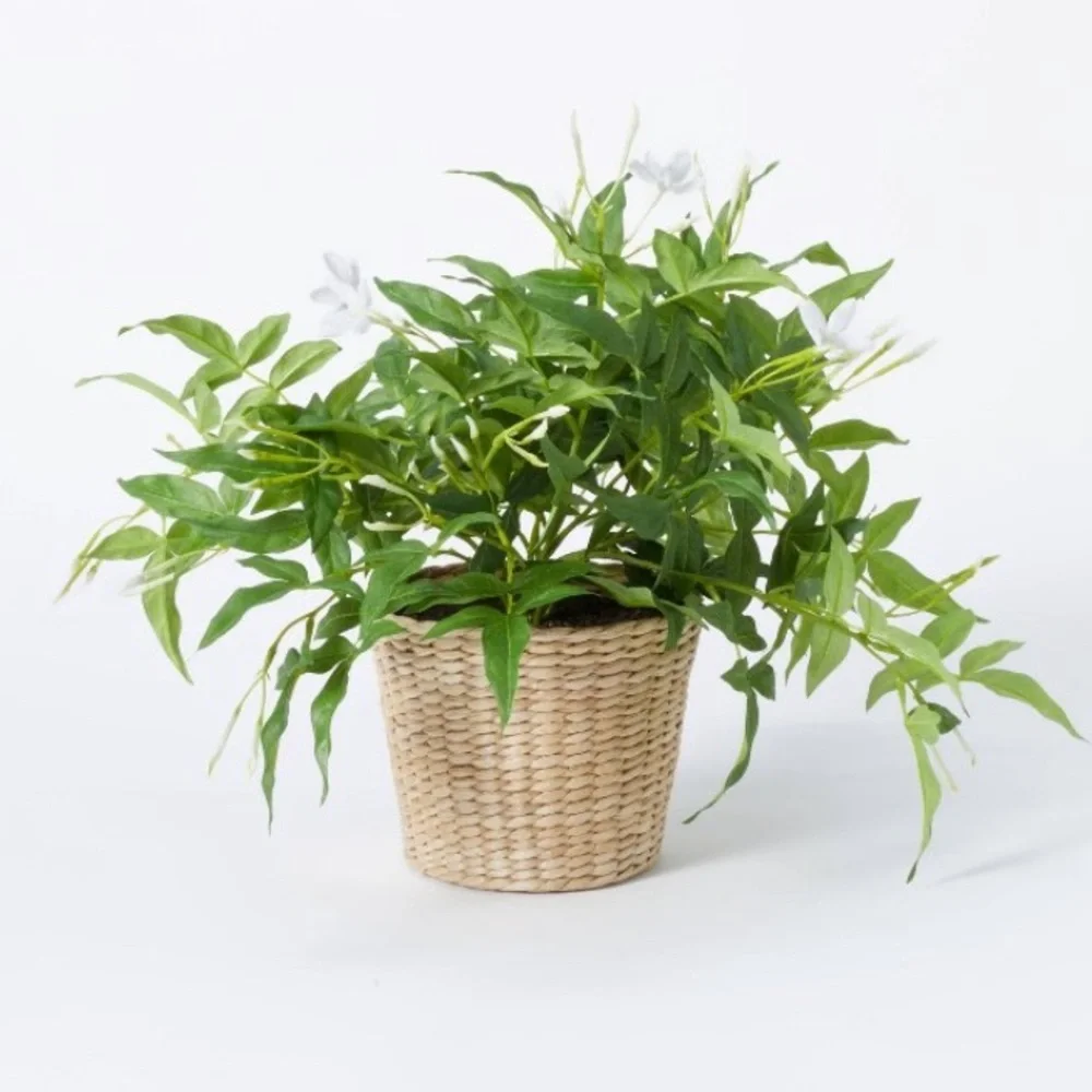 STUDIO MCGEE NWT faux jasmine in basket